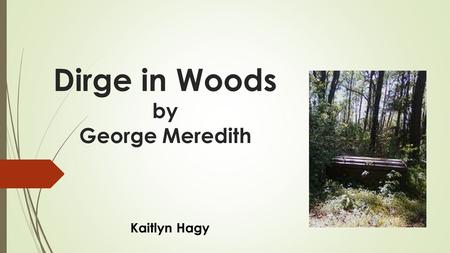 Dirge in Woods by George Meredith Kaitlyn Hagy. Catch a Little Rhyme By Eve MerriamEve Merriam Once upon a time I caught a little rhyme I set it on the.