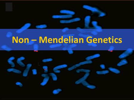 Non – Mendelian Genetics *Not all traits follow Mendel’s rules!