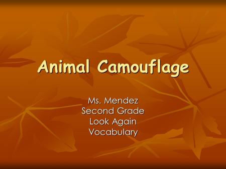 Animal Camouflage Ms. Mendez Second Grade Look Again Vocabulary.