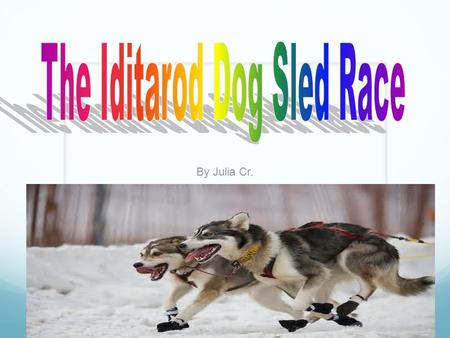 By Julia Cr. The Iditarod started because kids started to get a disease called Diphtheria. The medicine was super far away. Vehicles couldn’t get through.