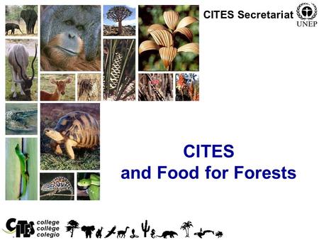 CITES and Food for Forests