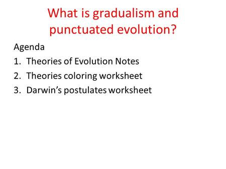 What is gradualism and punctuated evolution?