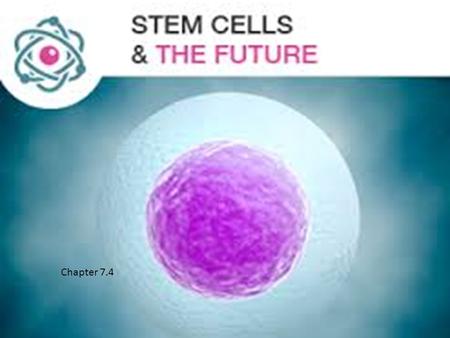 Stem cells Chapter 7.4. https://www.youtube.com/watch? v=evH0I7Coc54.