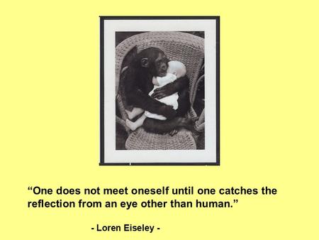 “One does not meet oneself until one catches the reflection from an eye other than human.” - Loren Eiseley -