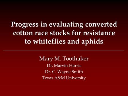 Progress in evaluating converted cotton race stocks for resistance to whiteflies and aphids Mary M. Toothaker Dr. Marvin Harris Dr. C. Wayne Smith Texas.