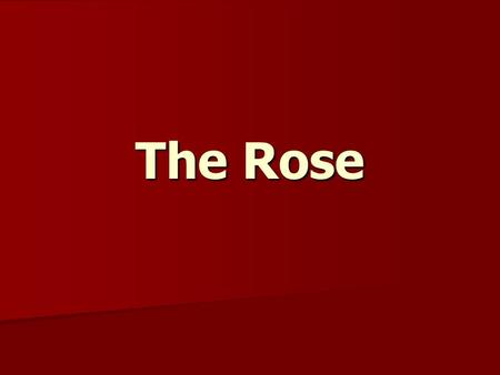 The Rose. Some say love, it is a river that drowns the tender reed. Some say love, it is a razor that leaves your soul to bleed. Some say love, it is.