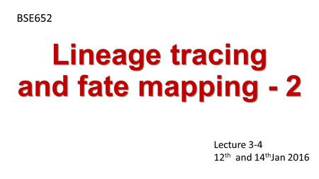 Lineage tracing and fate mapping - 2 BSE652 Lecture 3-4 12 th and 14 th Jan 2016.