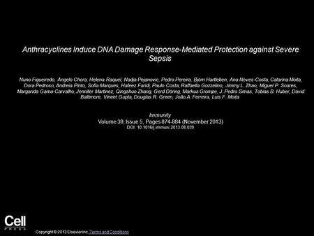 Anthracyclines Induce DNA Damage Response-Mediated Protection against Severe Sepsis Nuno Figueiredo, Angelo Chora, Helena Raquel, Nadja Pejanovic, Pedro.