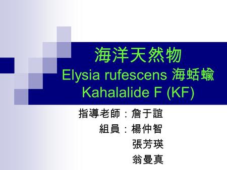 海洋天然物 Elysia rufescens 海蛞蝓 Kahalalide F (KF) 指導老師：詹于誼 組員：楊仲智 張芳瑛 翁曼真.