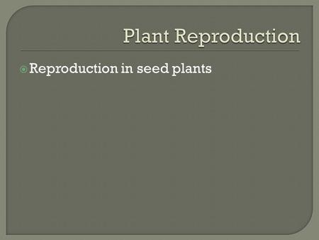  Reproduction in seed plants.  Gymnosperm seeds are not enclosed by a protective fruit.