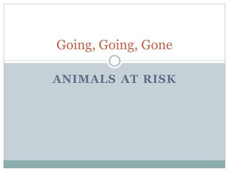 ANIMALS AT RISK Going, Going, Gone. Species At Risk When a species population is below a certain level is is considered to be at risk.  Ex. Harlequin.