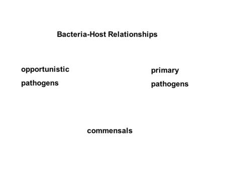 Bacteria-Host Relationships commensals opportunistic pathogens primary pathogens.