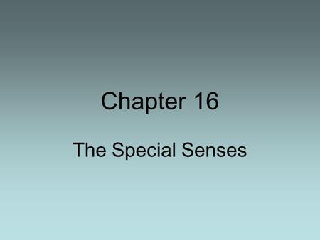 Chapter 16 The Special Senses. Smell Taste Effects of Different tastes on neurons.