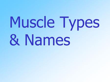 Muscle Types & Names. Muscles Muscles cause movement the joints Muscles can attach to the body in 3 ways: -directly to the bone -by tendons.