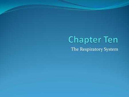 The Respiratory System. Human Respiratory System Nose Passageway for air Mouth Passageway for food and air Epiglottis Covers larynx during swallowing.