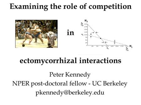 Examining the role of competition in ectomycorrhizal interactions Peter Kennedy NPER post-doctoral fellow - UC Berkeley