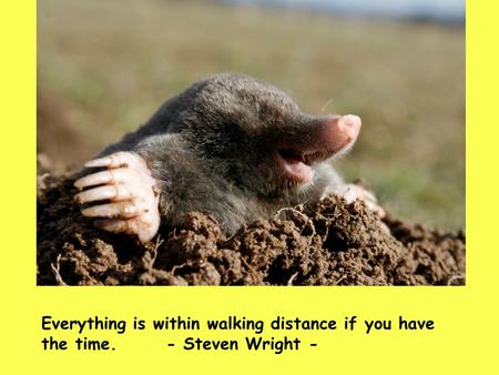 Everything is within walking distance if you have the time.- Steven Wright -