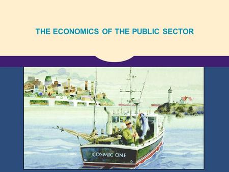 THE ECONOMICS OF THE PUBLIC SECTOR. Copyright©2004 South-Western Externalities.