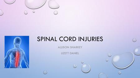 SPINAL CORD INJURIES ALLISON SHARKEY LIZETT DANIEL.