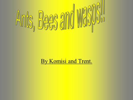 By Komisi and Trent.. What are bees? -Bees are flying insects which collect nectar from the pollen that is in wild flowers (dandelion, sunflower ect.)