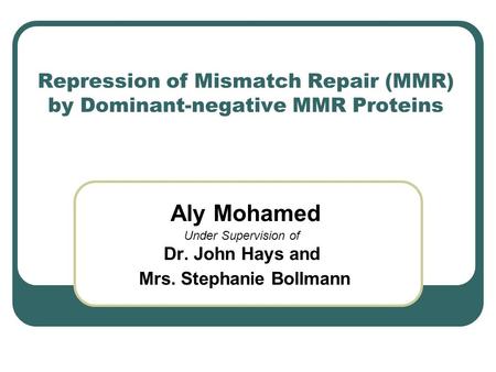 Repression of Mismatch Repair (MMR) by Dominant-negative MMR Proteins Aly Mohamed Under Supervision of Dr. John Hays and Mrs. Stephanie Bollmann.