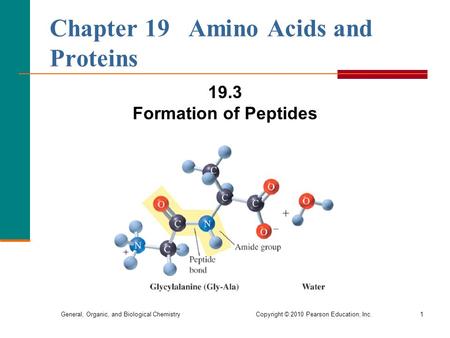 General, Organic, and Biological Chemistry Copyright © 2010 Pearson Education, Inc.1 Chapter 19 Amino Acids and Proteins 19.3 Formation of Peptides.