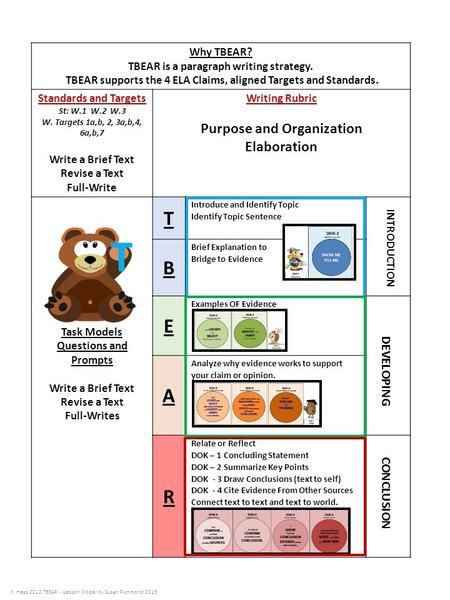 T T B E A R Purpose and Organization Elaboration DEVELOPING CONCLUSION