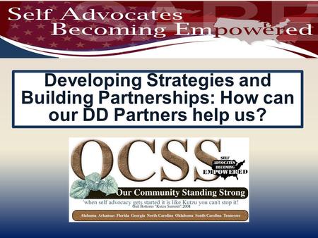 Developing Strategies and Building Partnerships: How can our DD Partners help us?