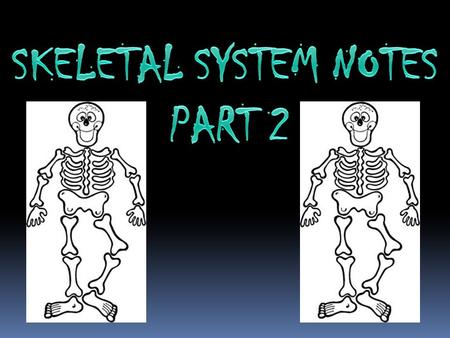 What are the parts of the skeletal system? The parts of the skeletal system include bones, cartilage, tendons, ligaments. What are the functions of the.