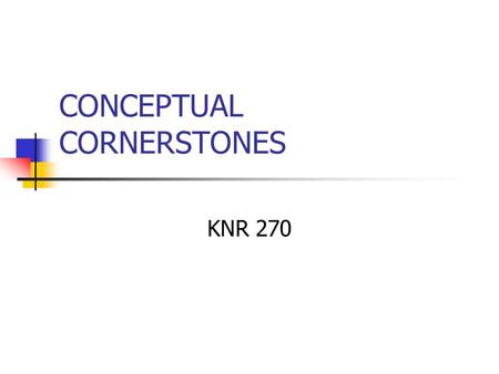 CONCEPTUAL CORNERSTONES