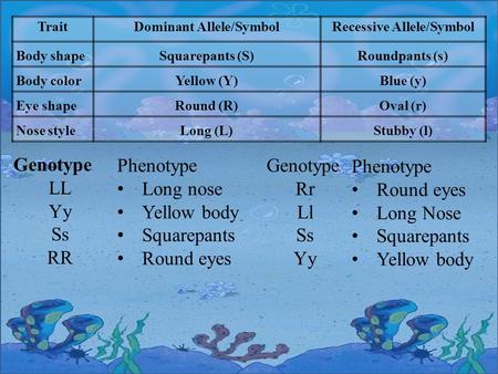 TraitDominant Allele/SymbolRecessive Allele/Symbol Body shapeSquarepants (S)Roundpants (s) Body colorYellow (Y)Blue (y) Eye shapeRound (R)Oval (r) Nose.