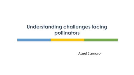 Aseel Samaro Understanding challenges facing pollinators.