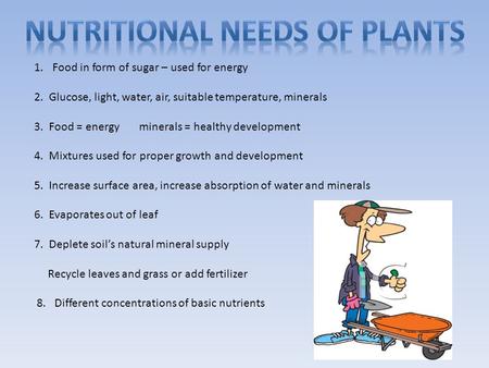 1.Food in form of sugar – used for energy 2. Glucose, light, water, air, suitable temperature, minerals 3. Food = energy minerals = healthy development.