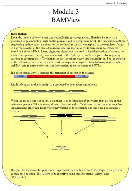 -1- Module 3: RNA-Seq Module 3 BAMView Introduction Recently, the use of new sequencing technologies (pyrosequencing, Illumina-Solexa) have produced large.