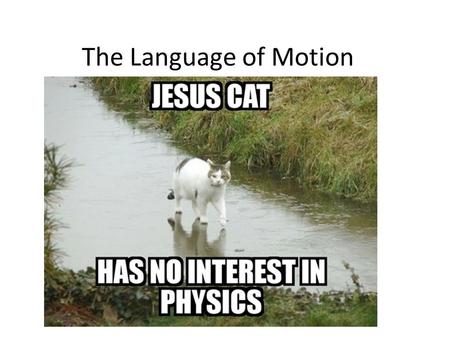 The Language of Motion. Vectors versus Scalars Scalars: Include magnitude but not direction – Eg. 100km/h (which way?) Vectors: