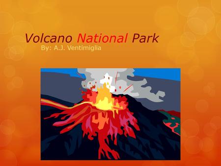 Volcano National Park By: A.J. Ventimiglia. When was it established? It was established on August 1, 1916.