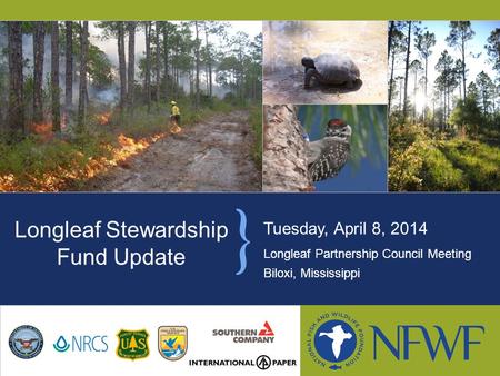 Tuesday, April 8, 2014 Longleaf Partnership Council Meeting Biloxi, Mississippi Longleaf Stewardship Fund Update.