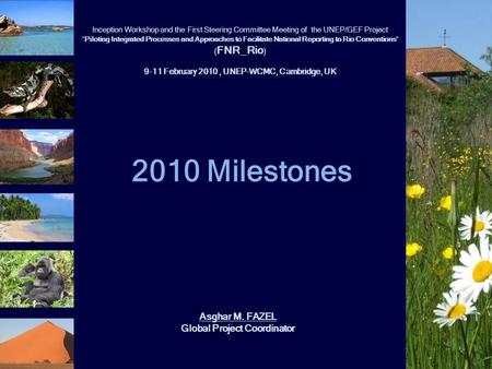 2010 Milestones Inception Workshop and the First Steering Committee Meeting of the UNEP/GEF Project “Piloting Integrated Processes and Approaches to Facilitate.