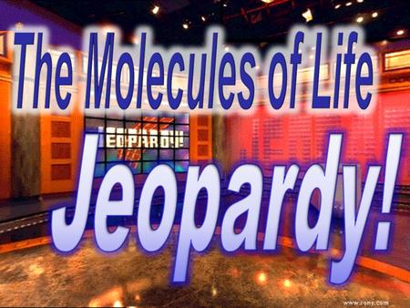 The Molecules of life 100 200 100 200 300 400 500 300 400 500 100 200 300 400 500 100 200 300 400 500 100 200 300 400 500 Lipid? Carb? Protein? FunctionsStructureWhat’s.