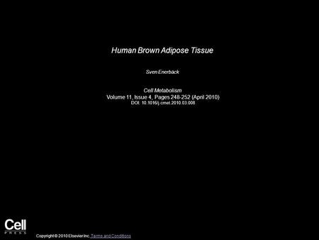 Human Brown Adipose Tissue Sven Enerbäck Cell Metabolism Volume 11, Issue 4, Pages 248-252 (April 2010) DOI: 10.1016/j.cmet.2010.03.008 Copyright © 2010.