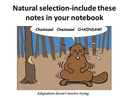 Natural selection-include these notes in your notebook