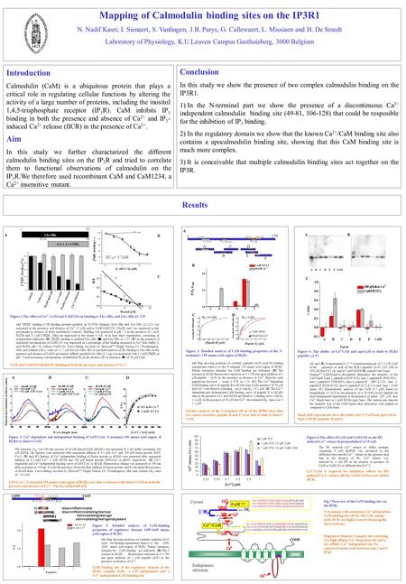 Mapping of Calmodulin binding sites on the IP3R1 N. Nadif Kasri; I. Sienaert, S. Vanlingen, J.B. Parys, G. Callewaert, L. Missiaen and H. De Smedt Laboratory.