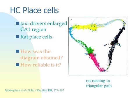 HC Place cells ntaxi drivers enlarged CA1 region nRat place cells nHow was this diagram obtained? nHow reliable is it? rat running in triangular path McNaughton.