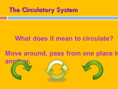 The Circulatory System What does it mean to circulate? Move around, pass from one place to another.