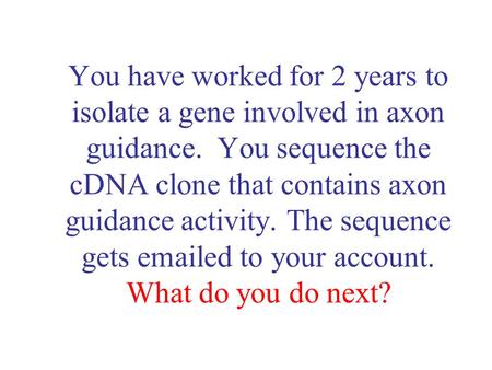 You have worked for 2 years to isolate a gene involved in axon guidance. You sequence the cDNA clone that contains axon guidance activity. The sequence.