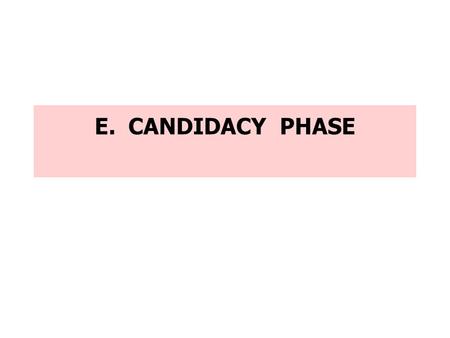 E. CANDIDACY PHASE. RITE Rite of Admission [ Ritual P. 11 ]