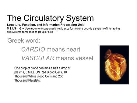 The Circulatory System Structure, Function, and Information Processing Unit: MS.LS 1-3 ~ Use argument supported by evidence for how the body is a system.