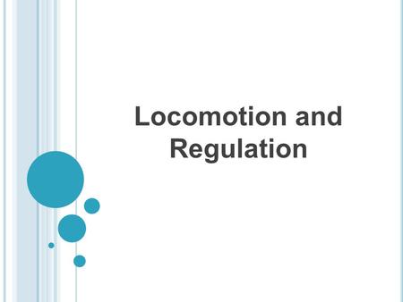 Locomotion and Regulation. Skeletal System Functions of bones: 1.support and protection of the body 2.anchorage sites for muscles 3.leverage for movement.