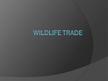 Wildlife trade  Sale and exchange of wild animals, plants, and products  Multi-billion dollar business driving species to brink of extinction  Much.