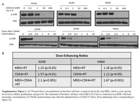 A B Supplementary Figure 1. (A) Western blots were performed on the three cell lines to analyze the levels of p-ERK, which is a key protein involved in.